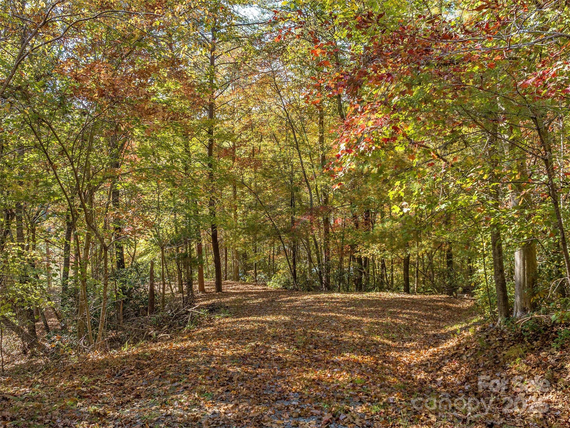 000 South Cove Road #17 - Photo 4