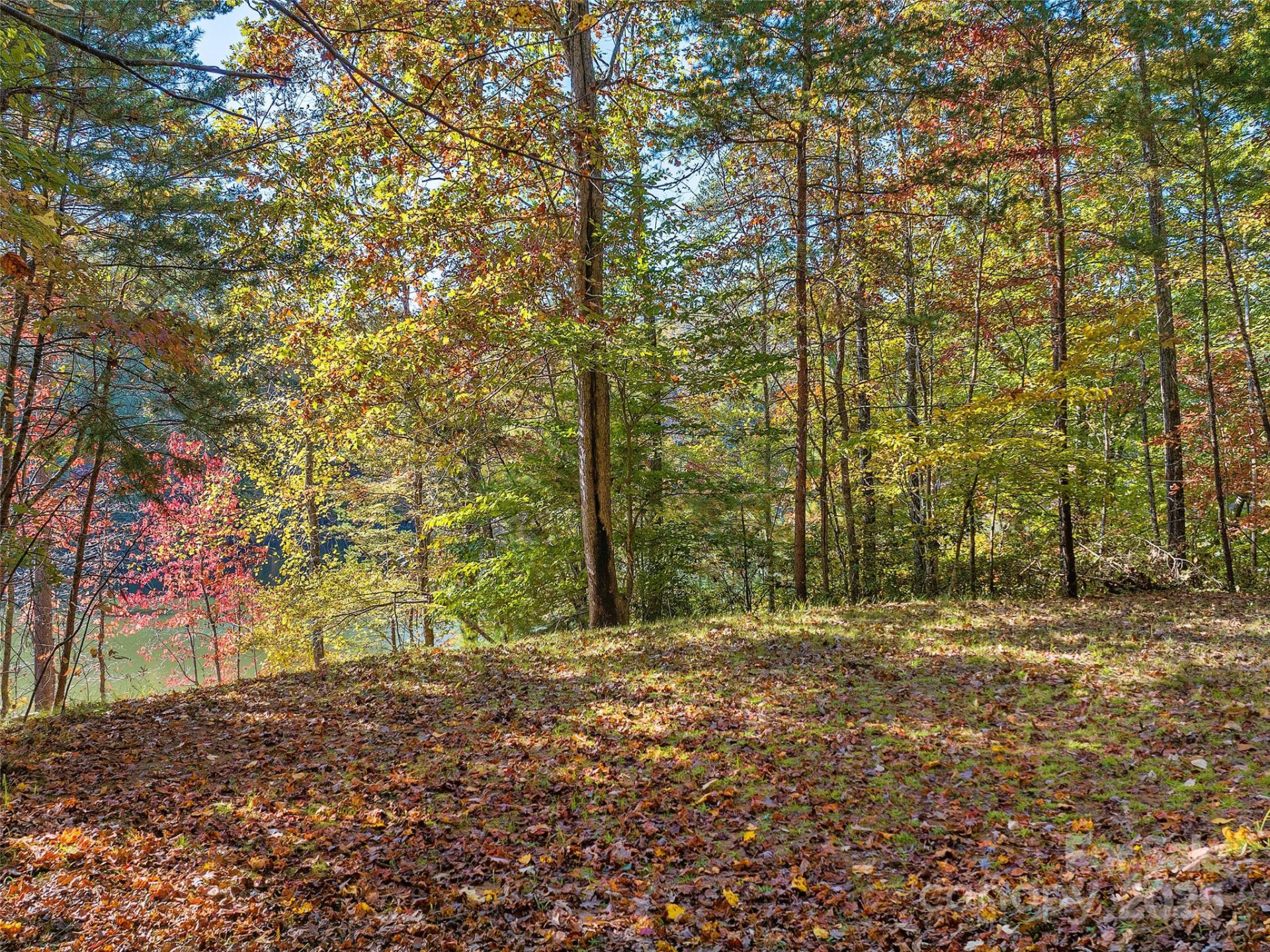 000 South Cove Road #17 - Photo 5