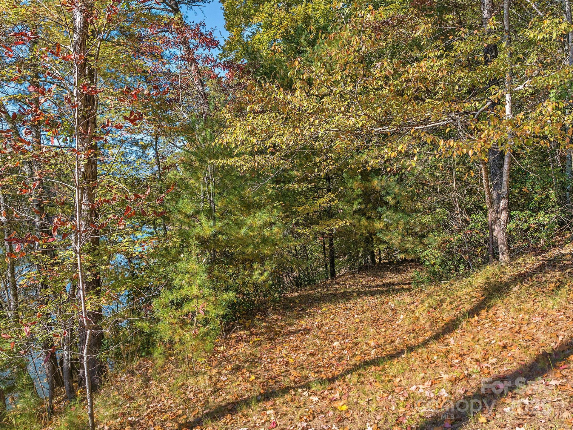 000 South Cove Road #17 - Photo 8