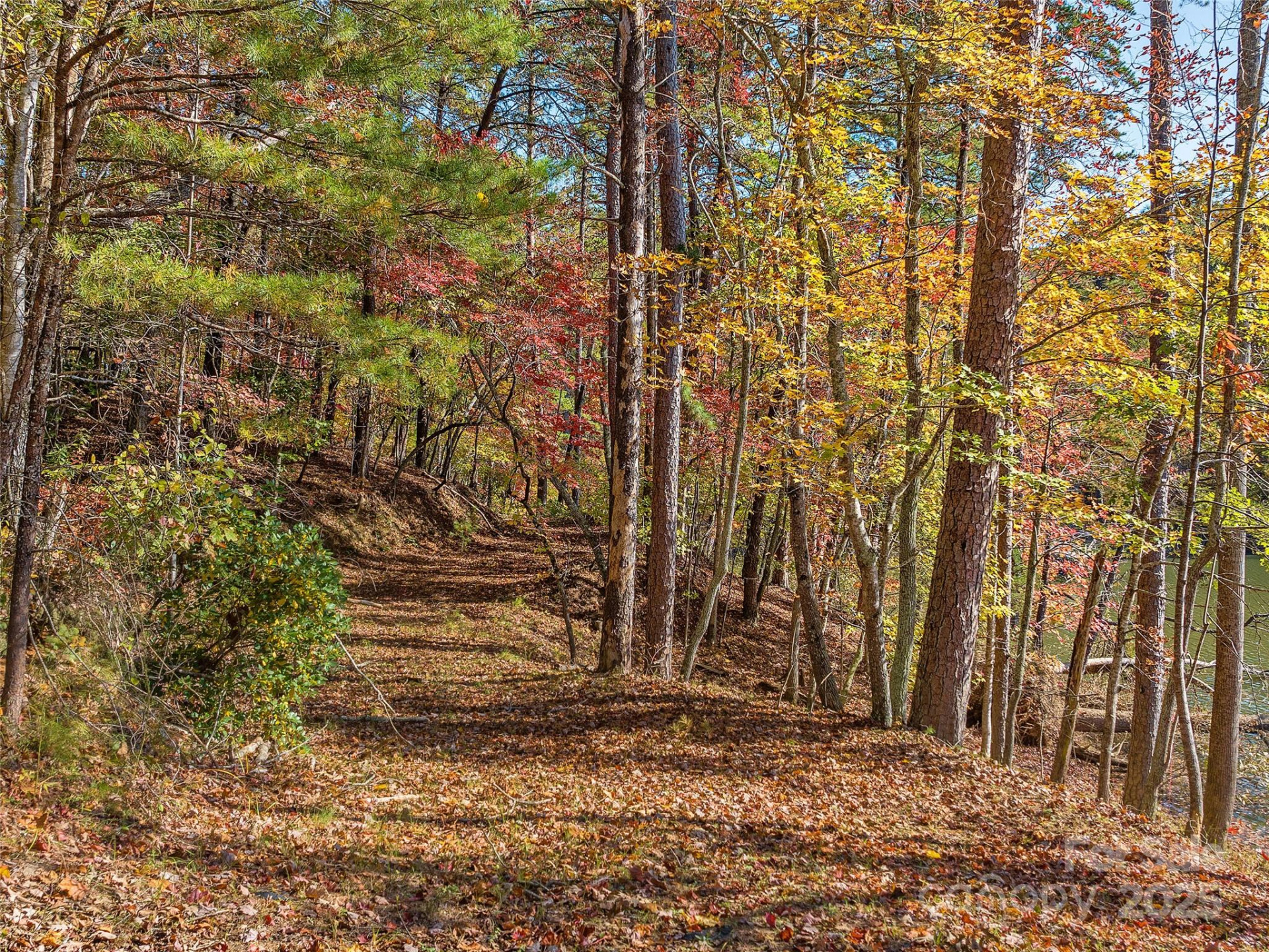 000 South Cove Road #17 - Photo 9