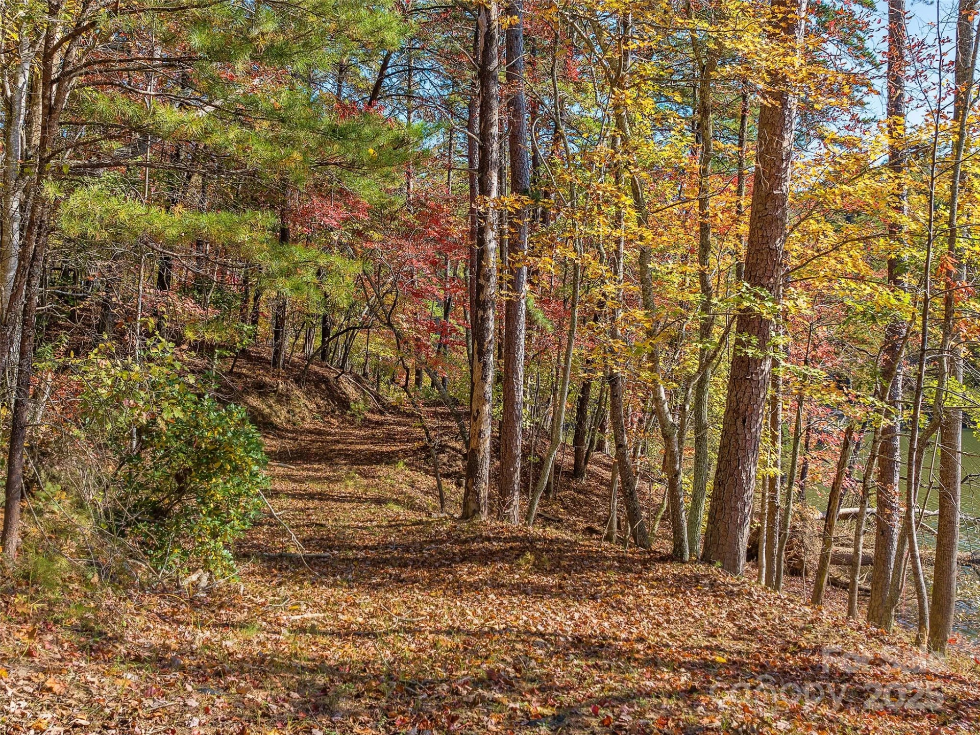 000 South Cove Road #17 - Photo 9