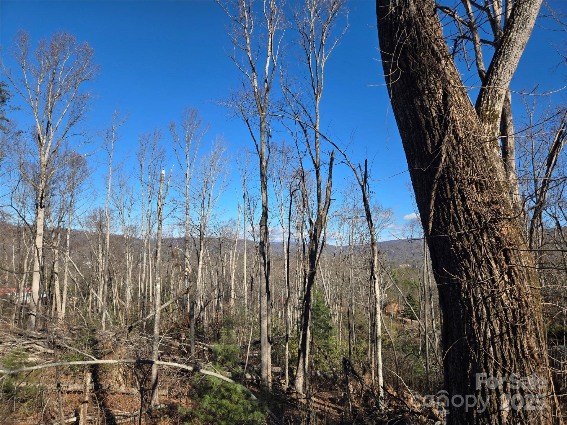 211 Holly Mountain Lane - Photo 8