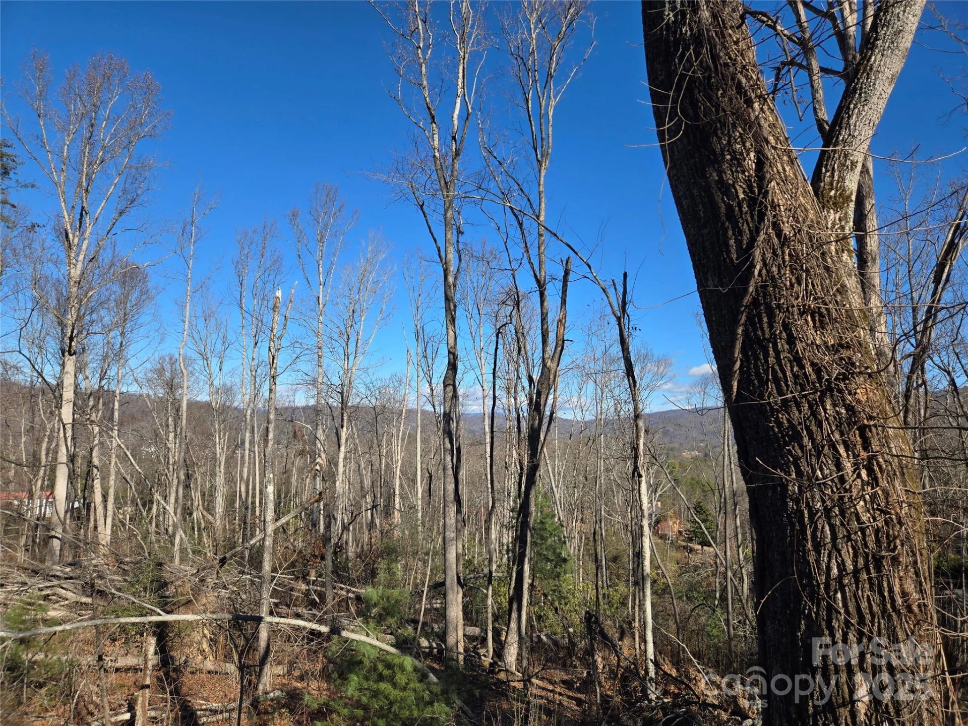 211 Holly Mountain Lane - Photo 8