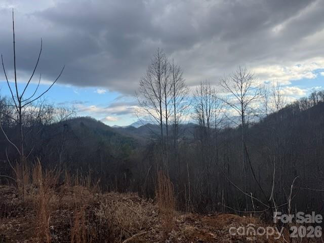 151 Thunderstruck Ridge - Photo 4