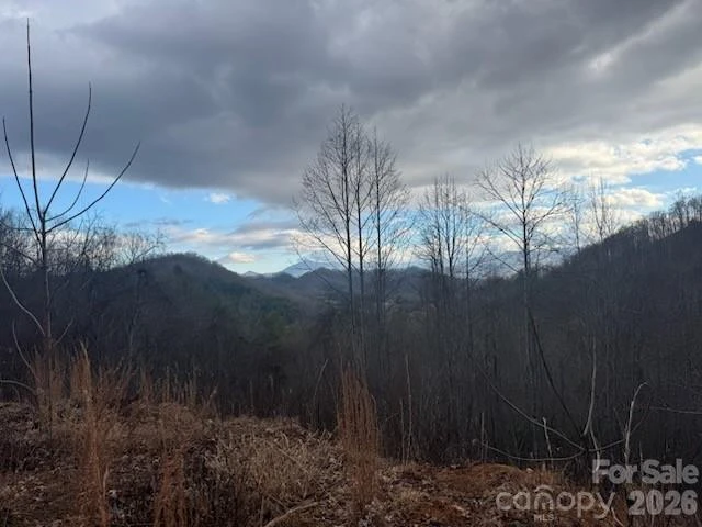 151 Thunderstruck Ridge - Photo 4