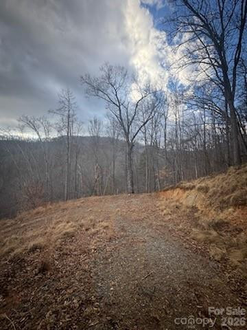 151 Thunderstruck Ridge - Photo 8