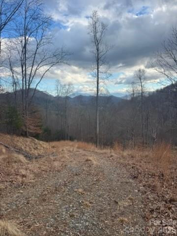 151 Thunderstruck Ridge - Photo 9