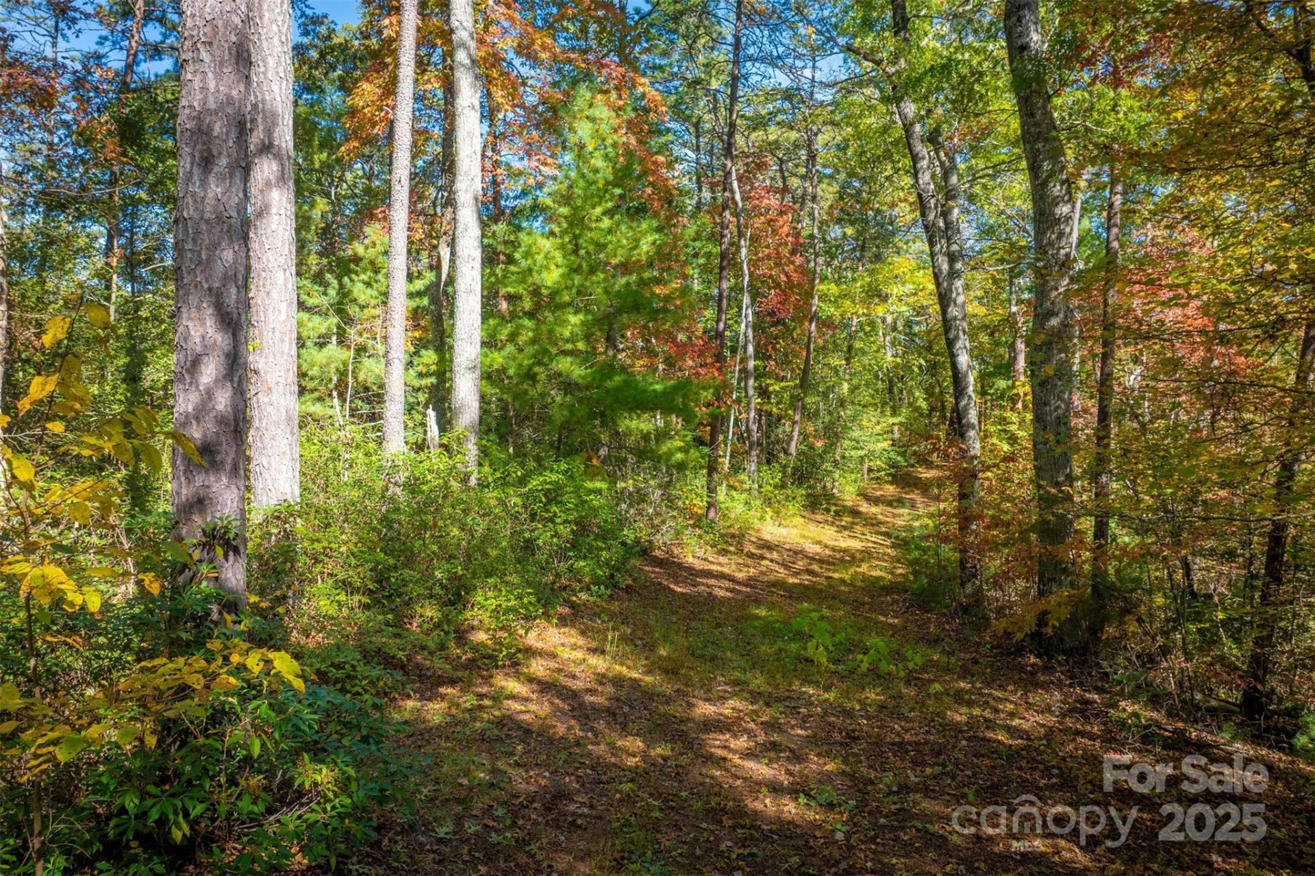7376 NC 181 None - Photo 33