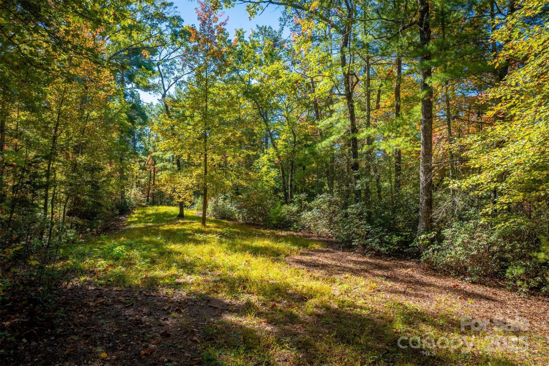 7376 NC 181 None - Photo 34