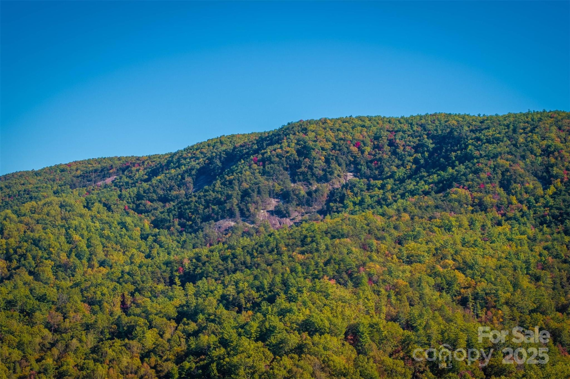7376 NC 181 None - Photo 35