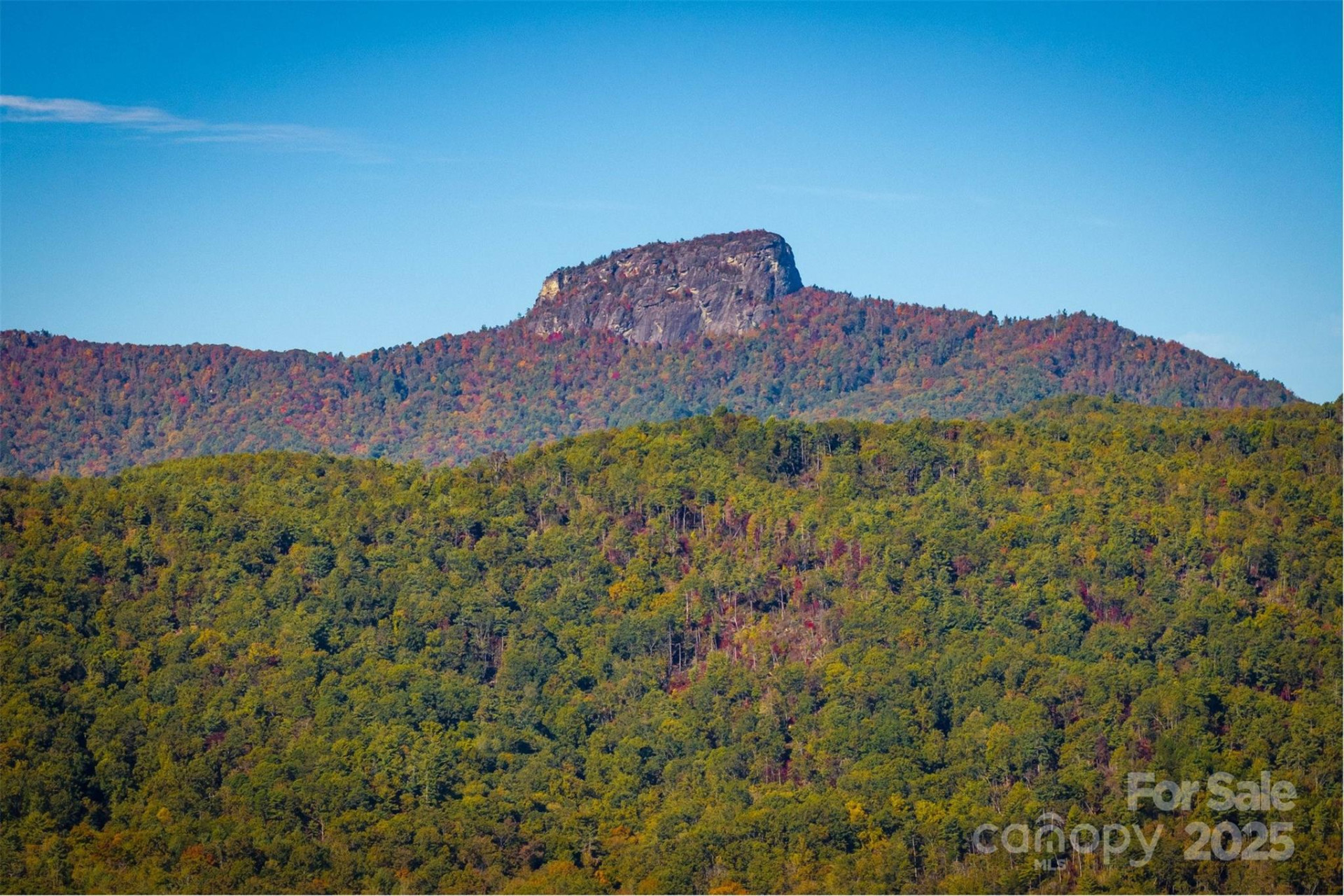 7376 NC 181 None - Photo 39