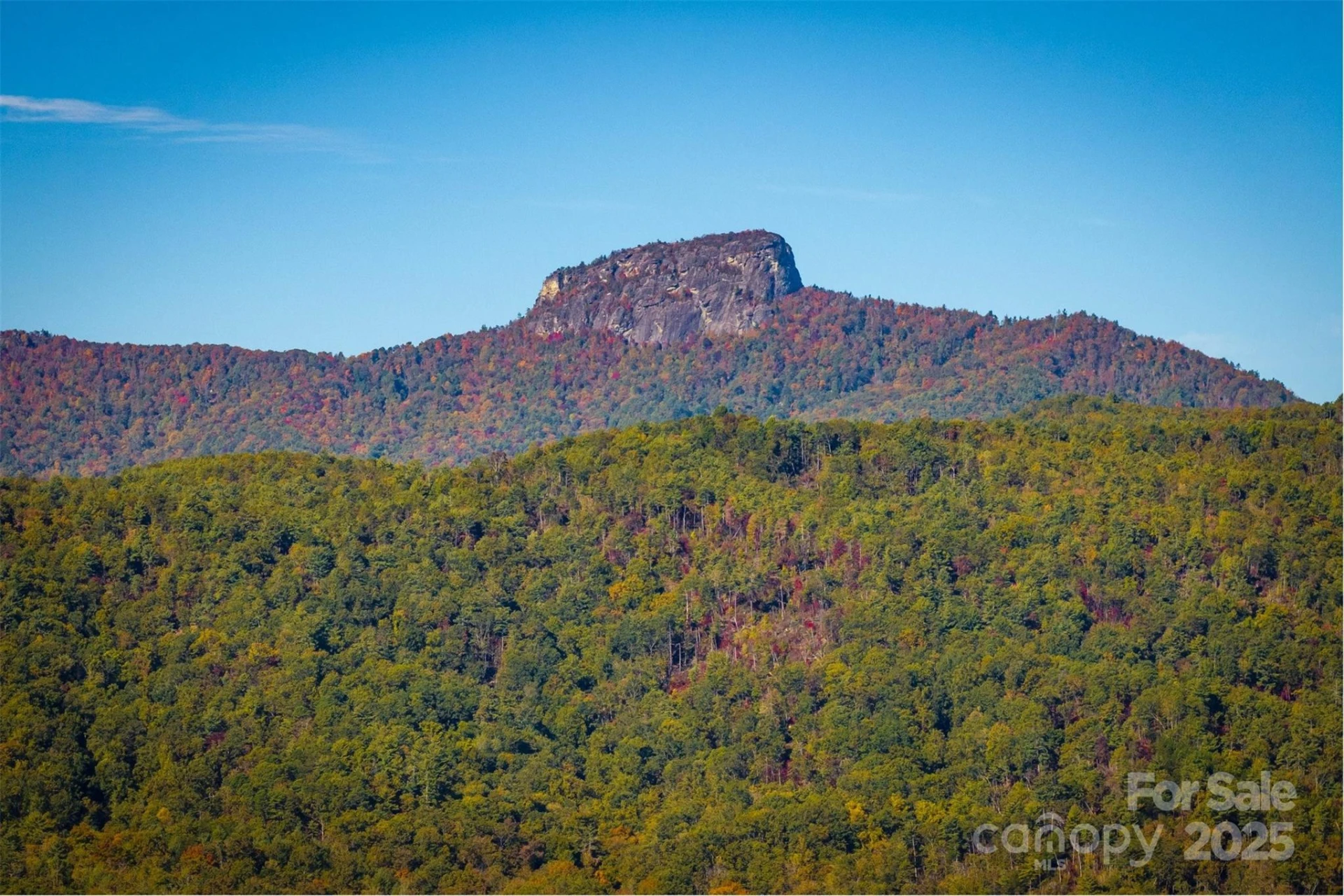 7376 NC 181 None - Photo 39