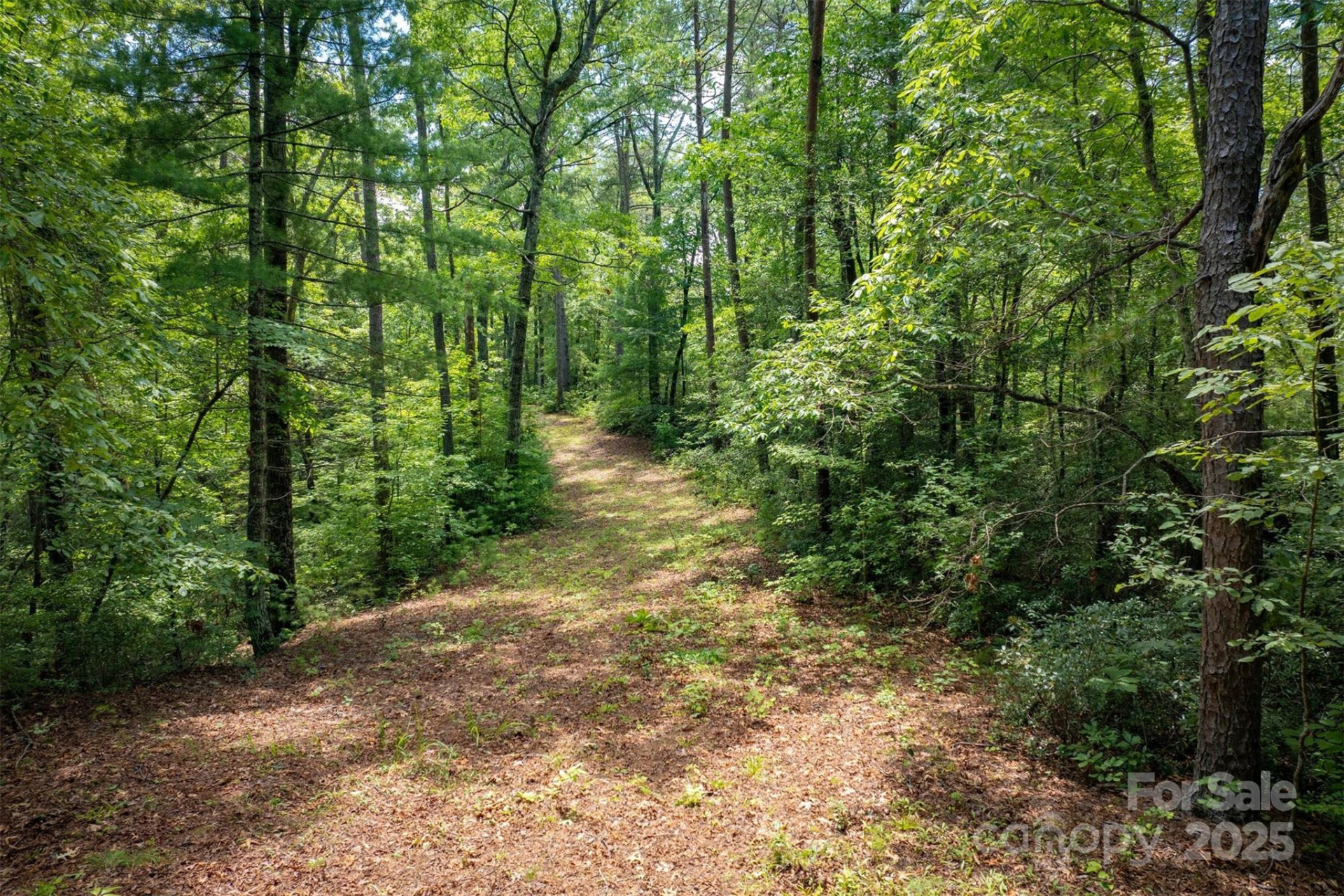7376 NC 181 None - Photo 42