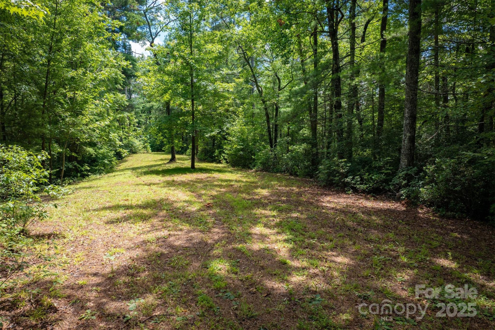 7376 NC 181 None - Photo 43