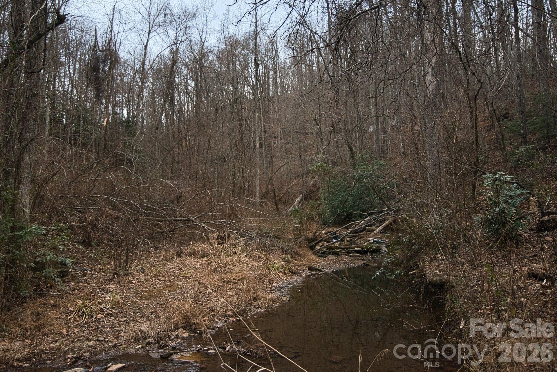 5712 Holbert Cove Road - Photo 11