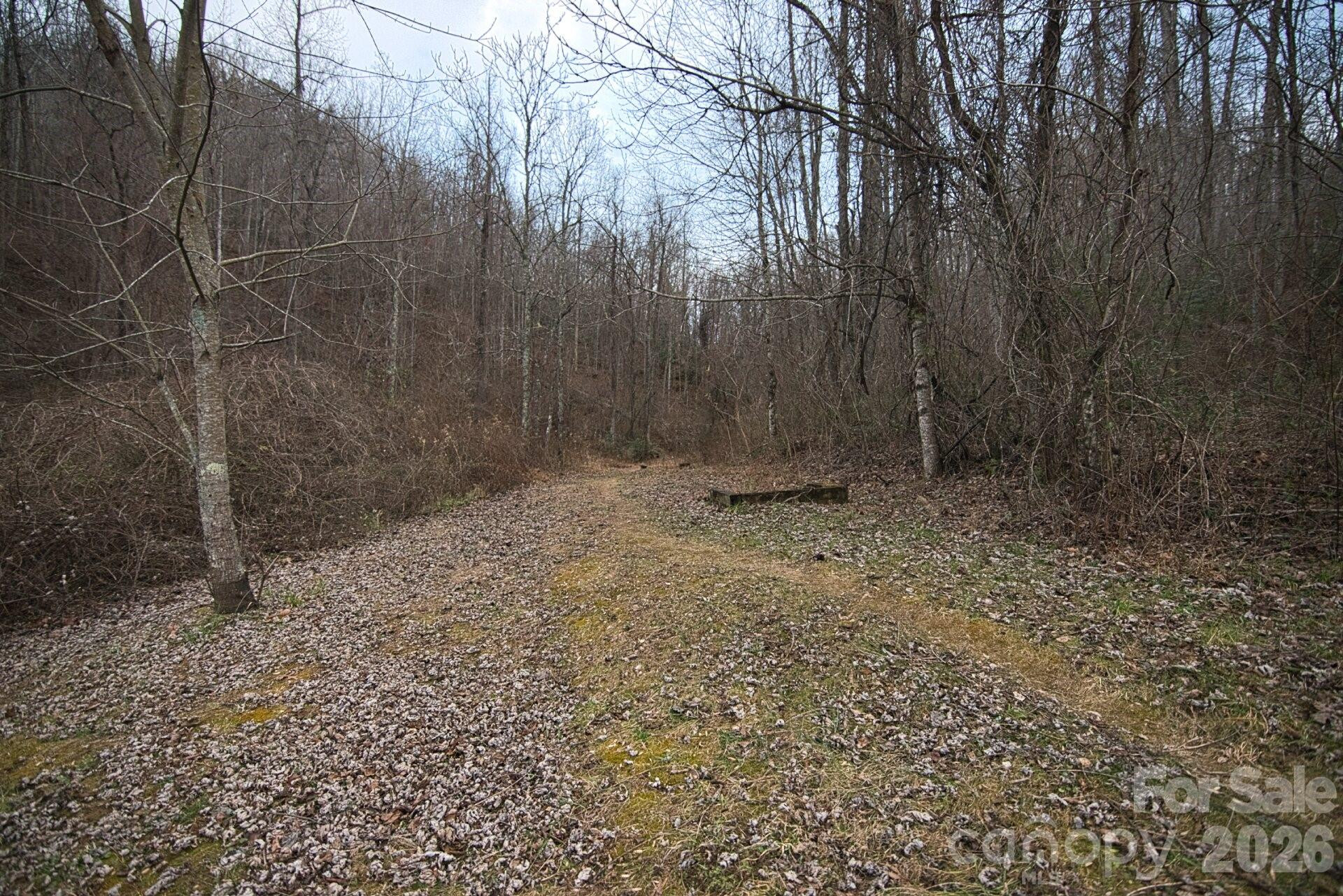 5712 Holbert Cove Road - Photo 9