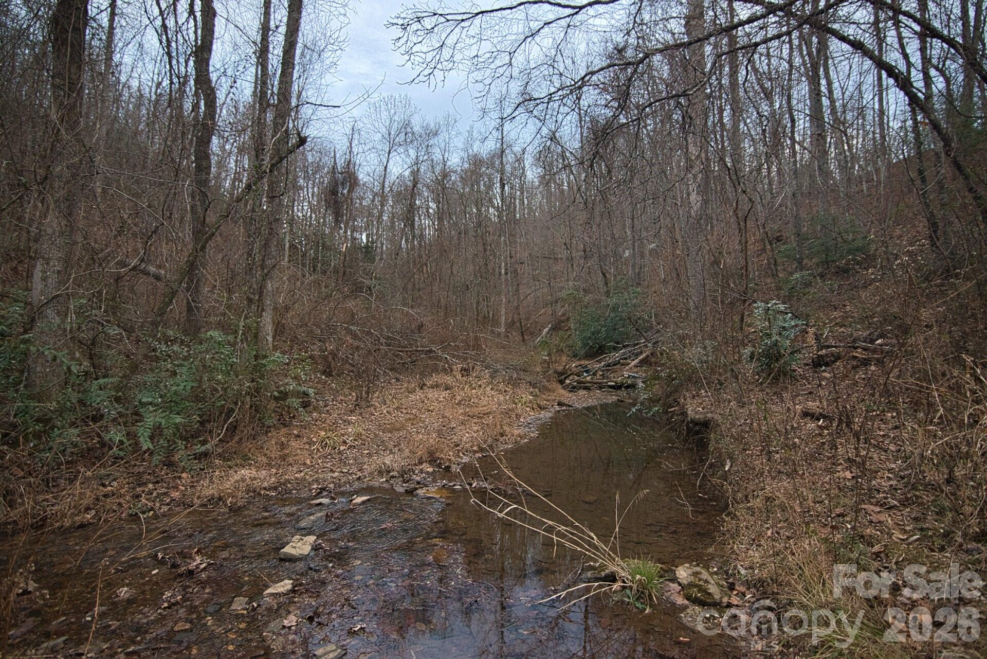 5712 Holbert Cove Road - Photo 10