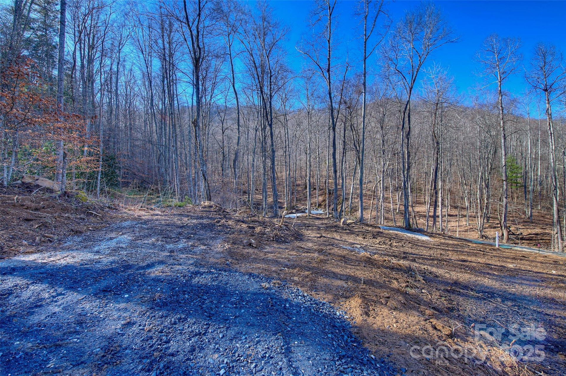 00 Shadowood Drive - Photo 4