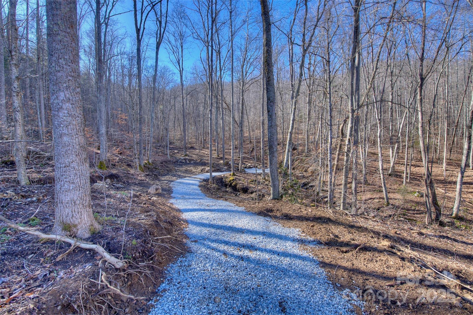 00 Shadowood Drive - Photo 6