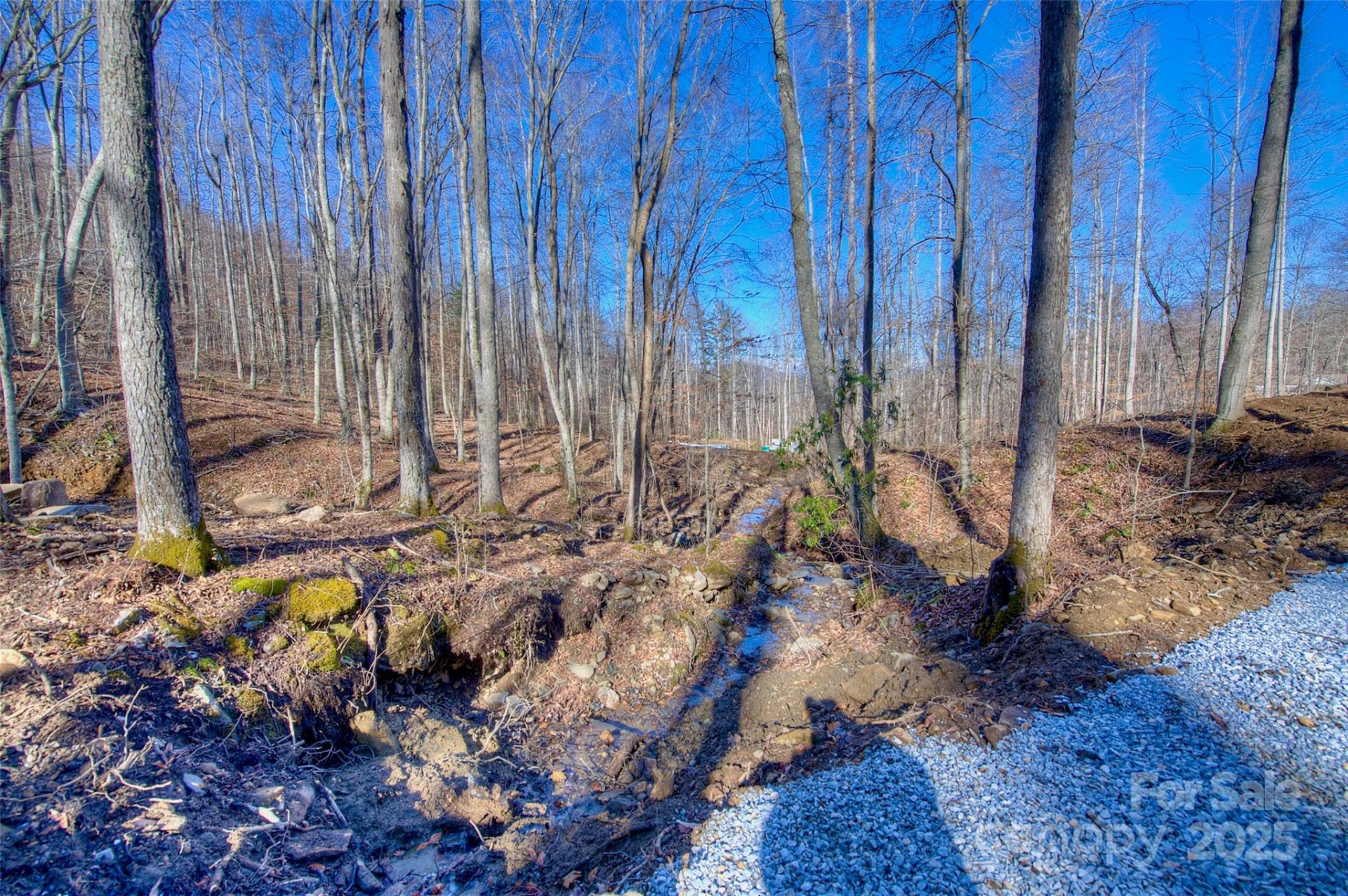 00 Shadowood Drive - Photo 7