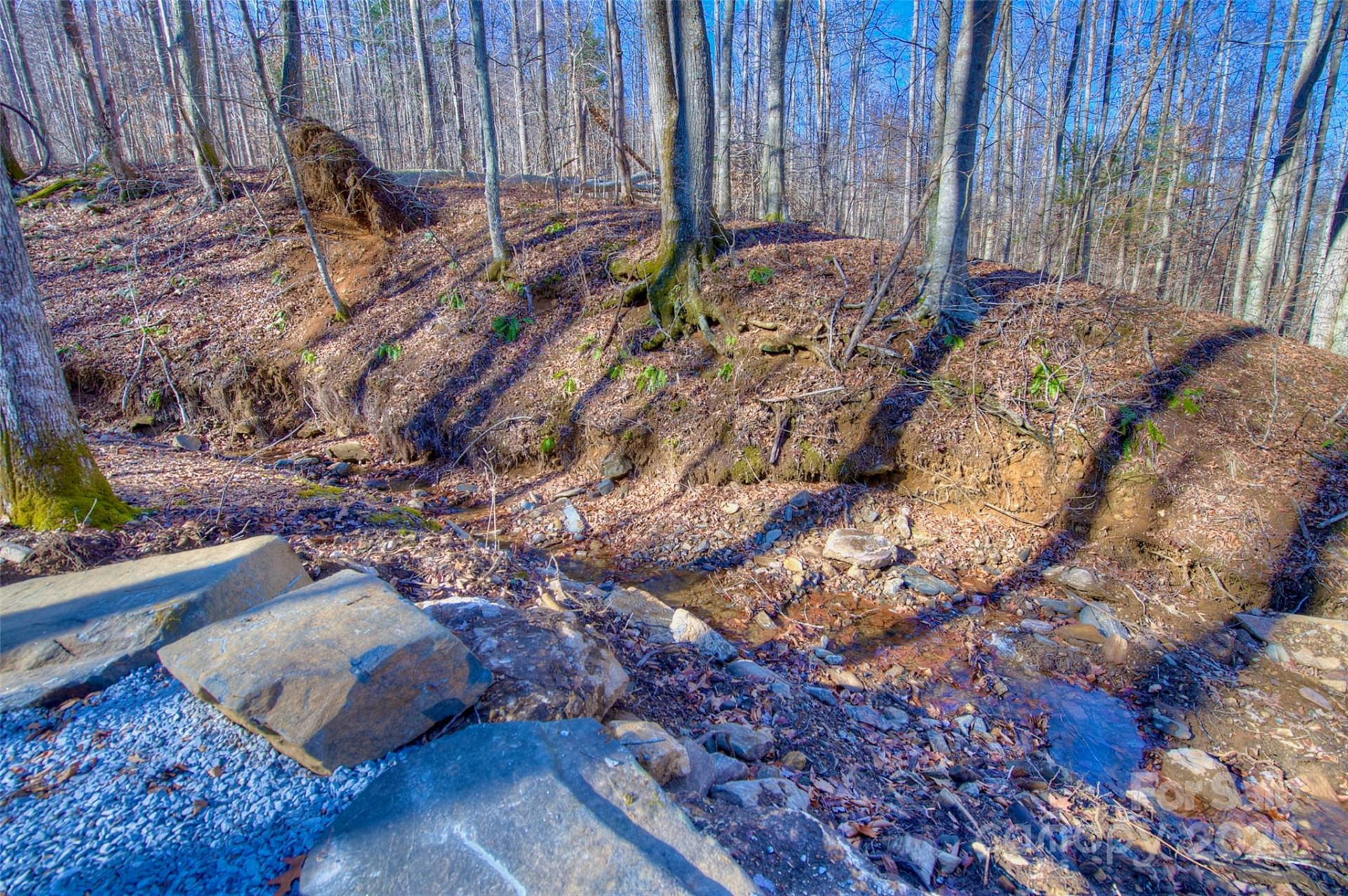 00 Shadowood Drive - Photo 9