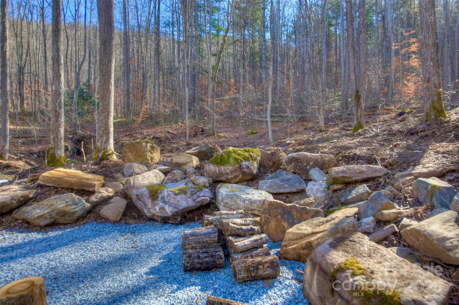 00 Shadowood Drive - Photo 10