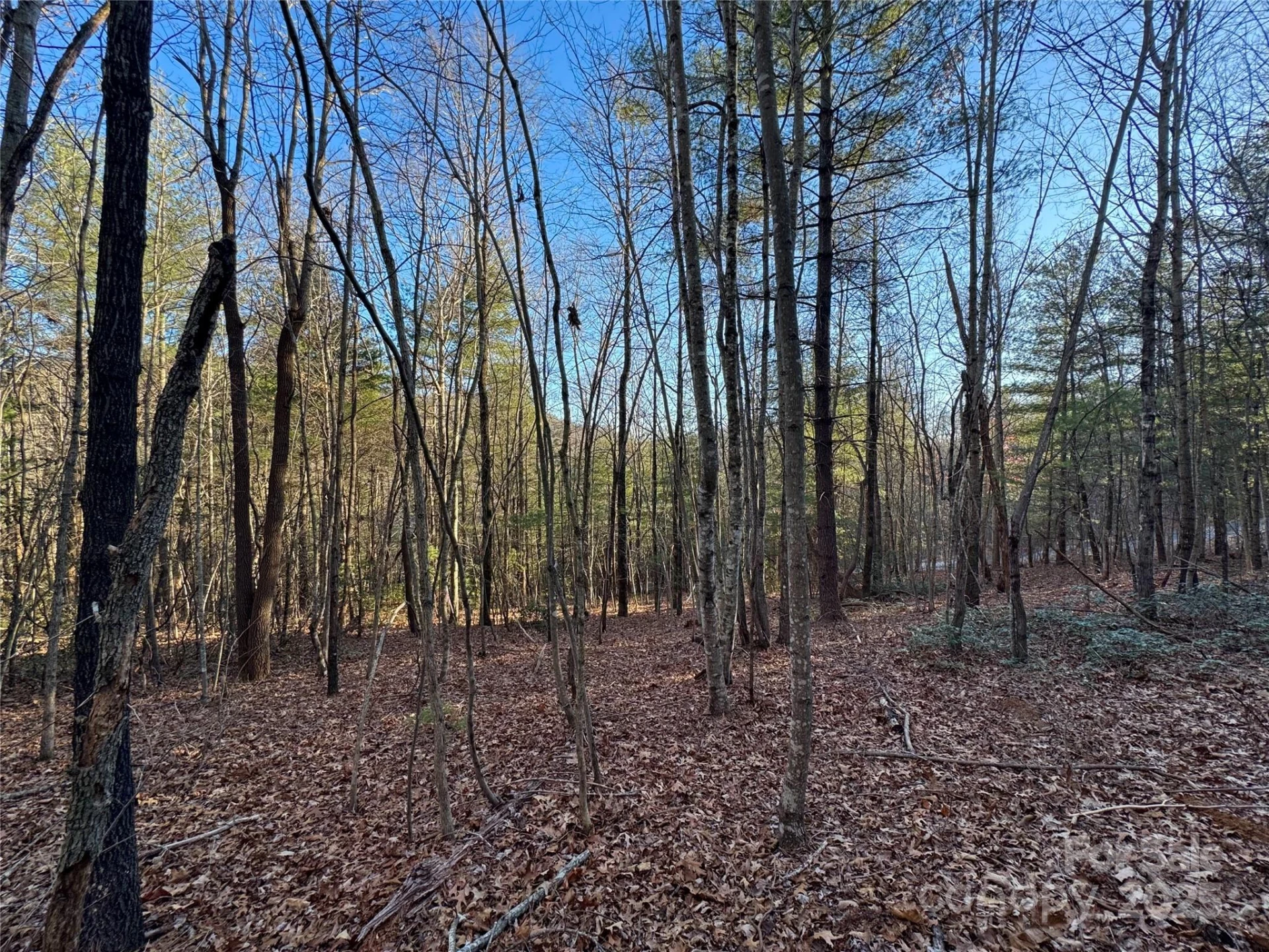 0000 Pebble Stone Trail #46