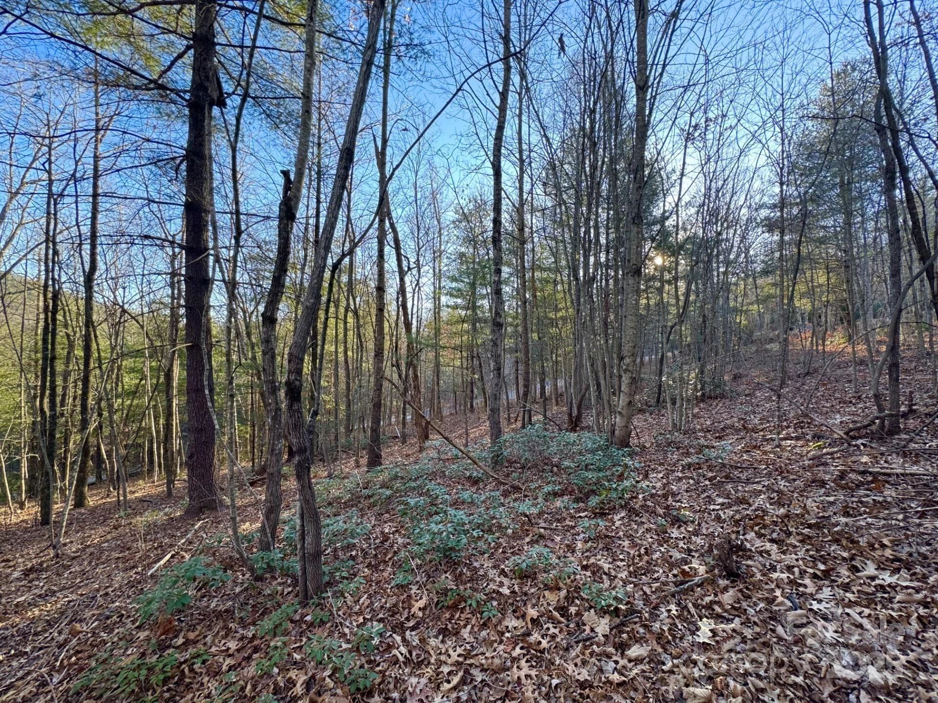 0000 Pebble Stone Trail #46 - Photo 2