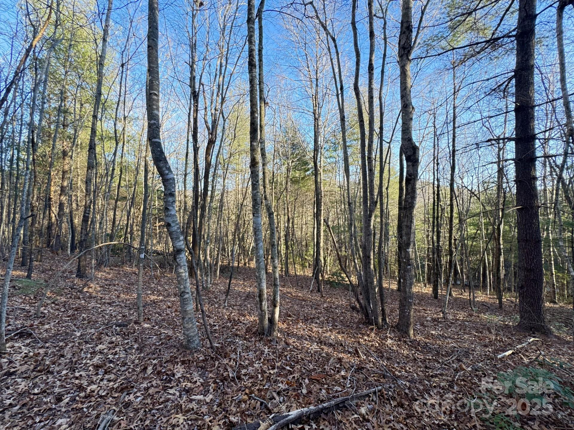 0000 Pebble Stone Trail #46 - Photo 4