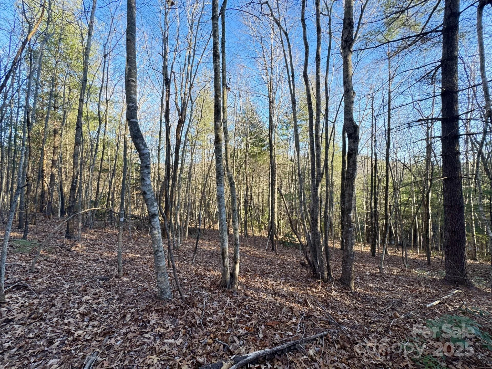 0000 Pebble Stone Trail #46 - Photo 4