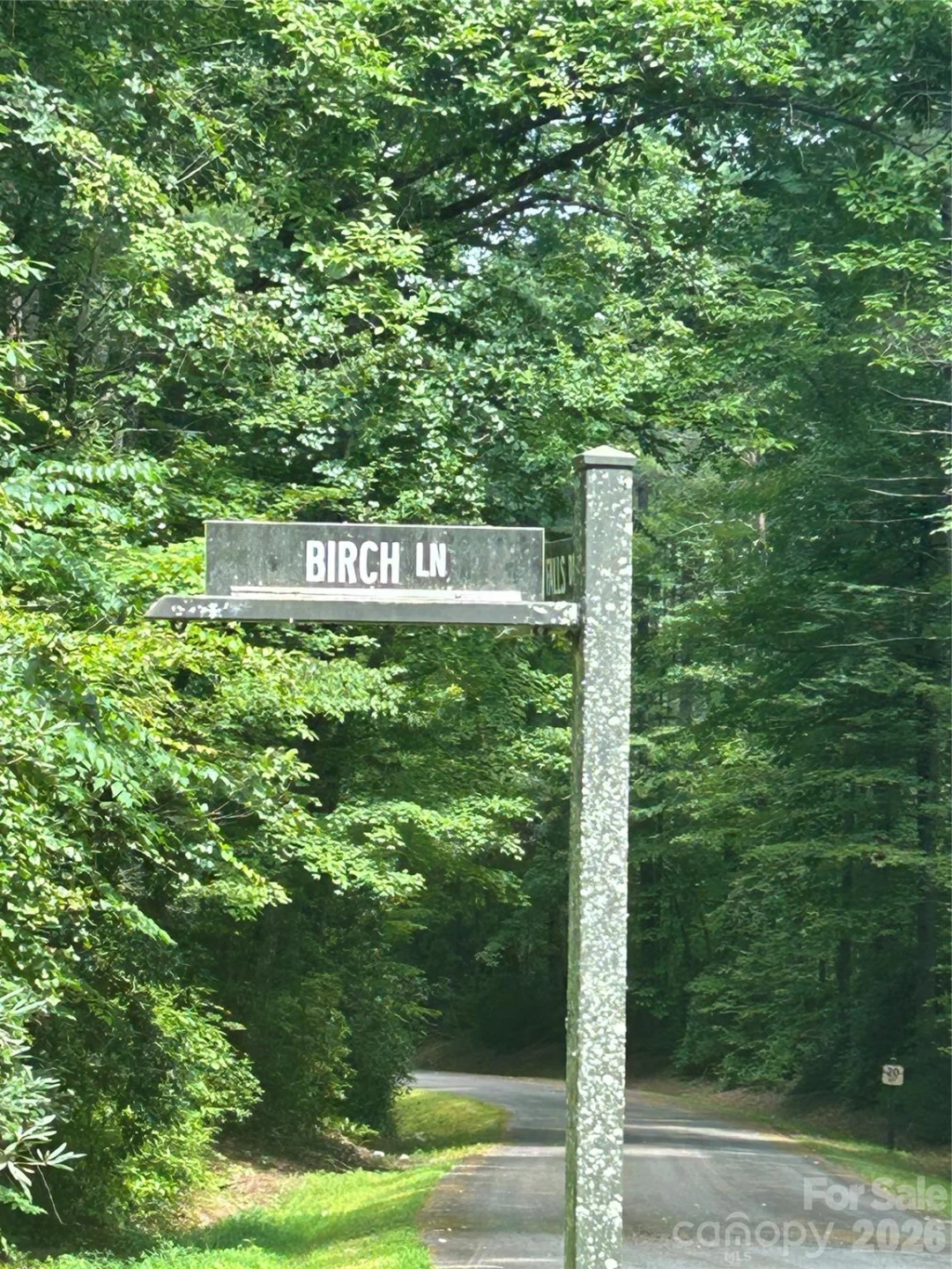 Lot 37 Birch Lane #37 - Photo 4