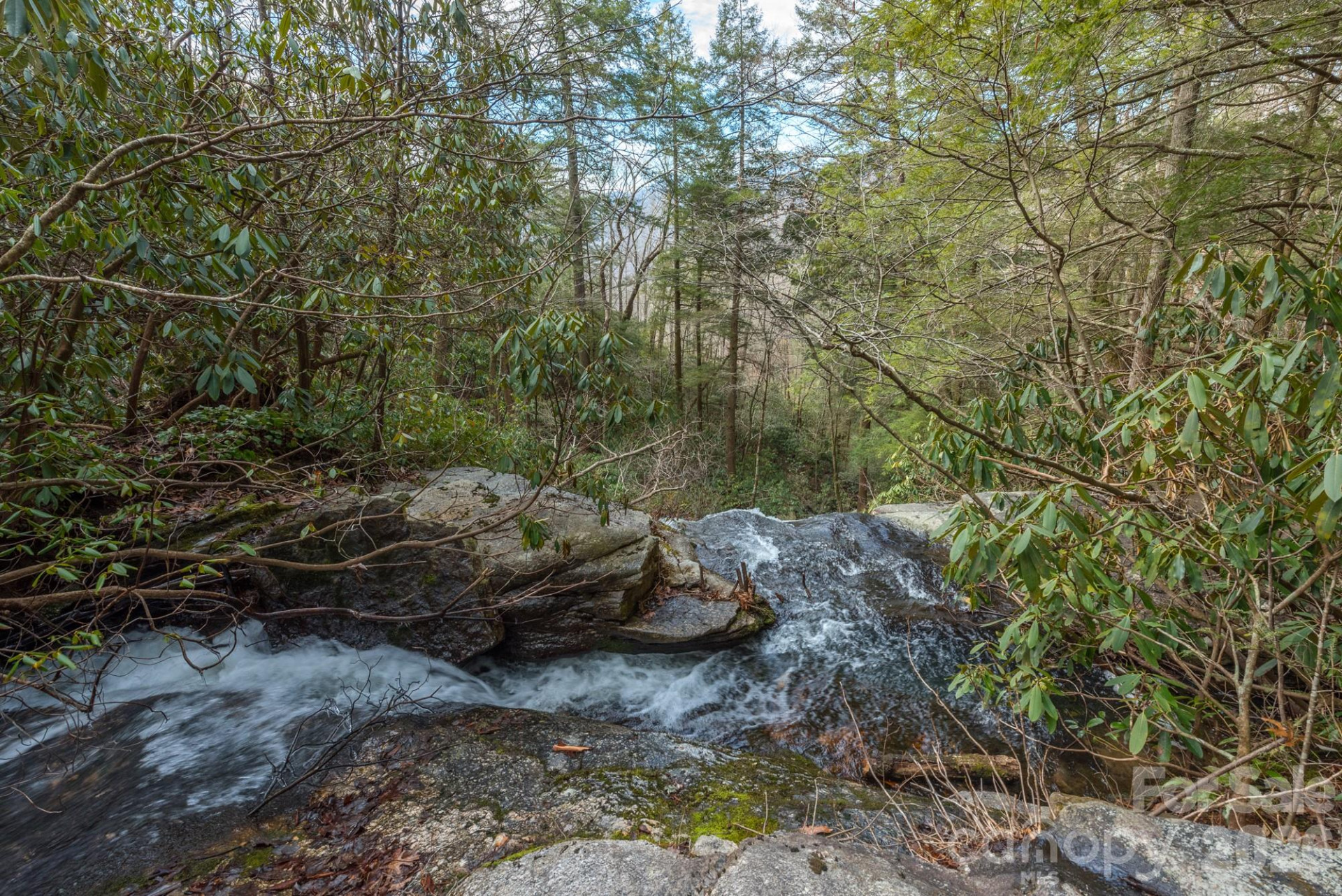 1795 Mckenzie Way #505 - Photo 43