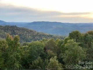 1403 Fleetwood Plaza - Photo 28