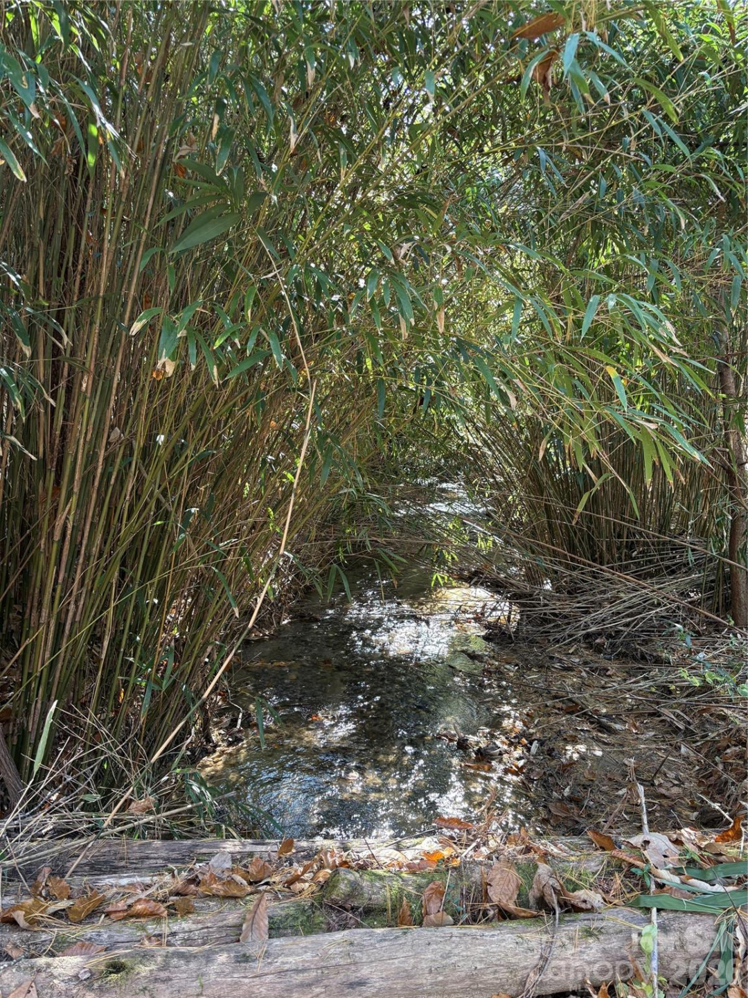 276 Cedar Creek Road - Photo 12