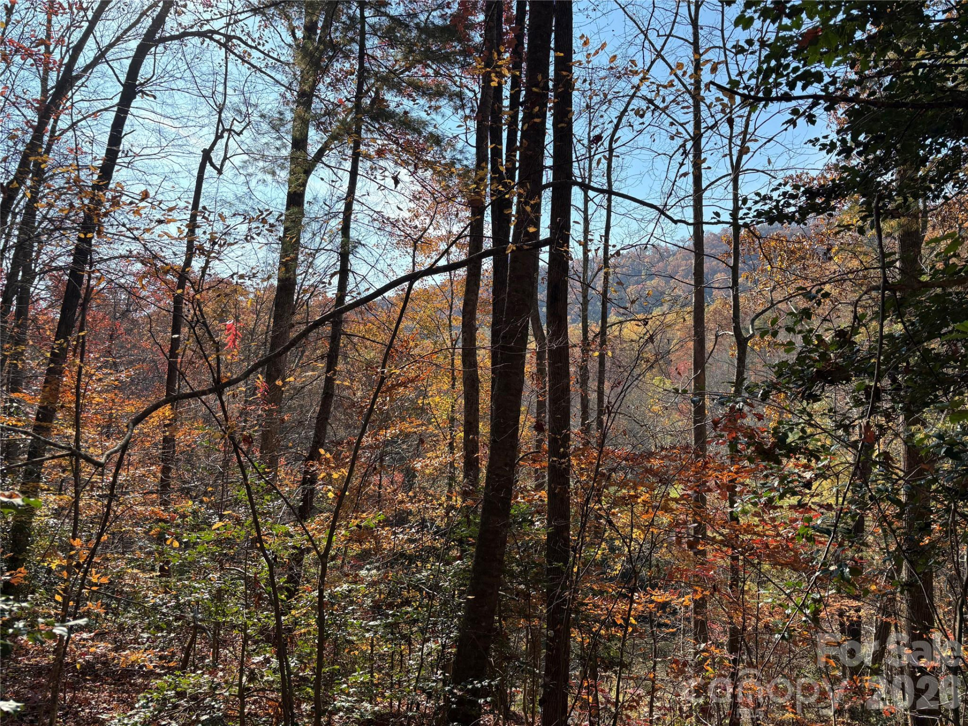 276 Cedar Creek Road - Photo 13