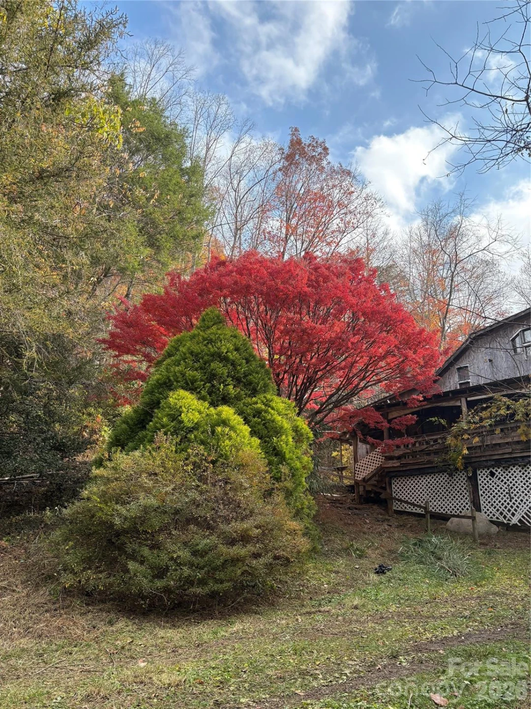 276 Cedar Creek Road - Photo 15