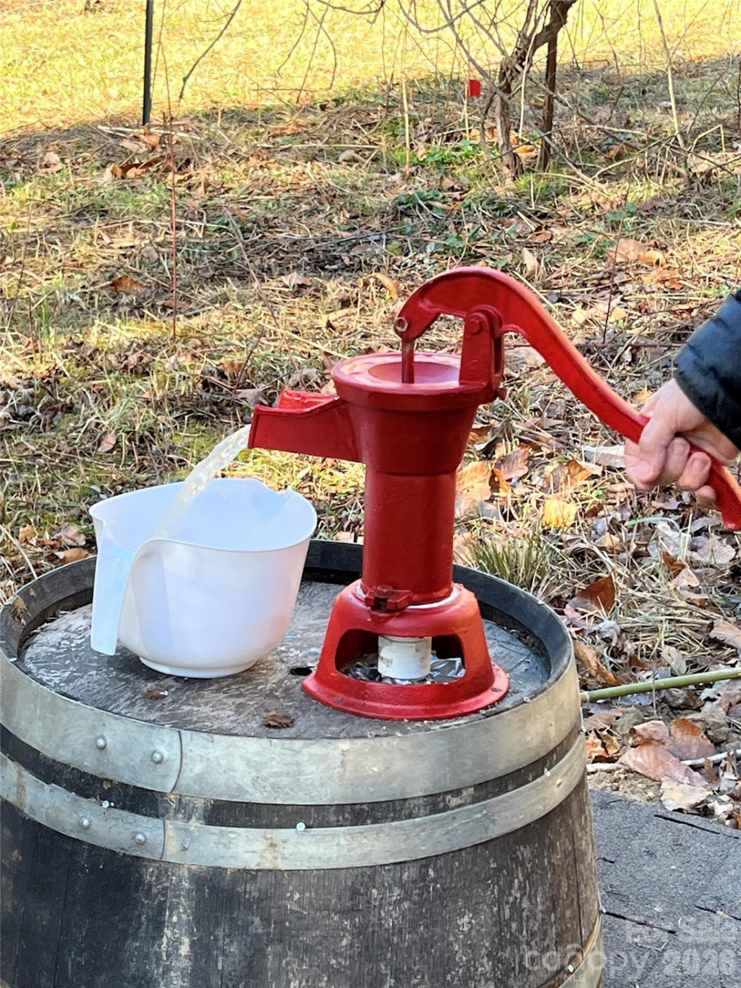 276 Cedar Creek Road - Photo 16