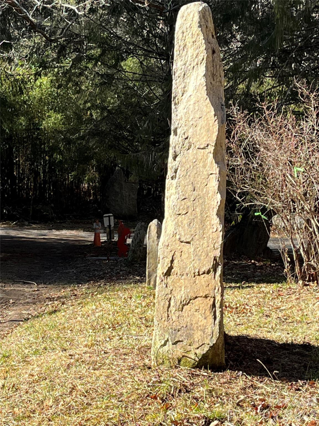 276 Cedar Creek Road - Photo 17