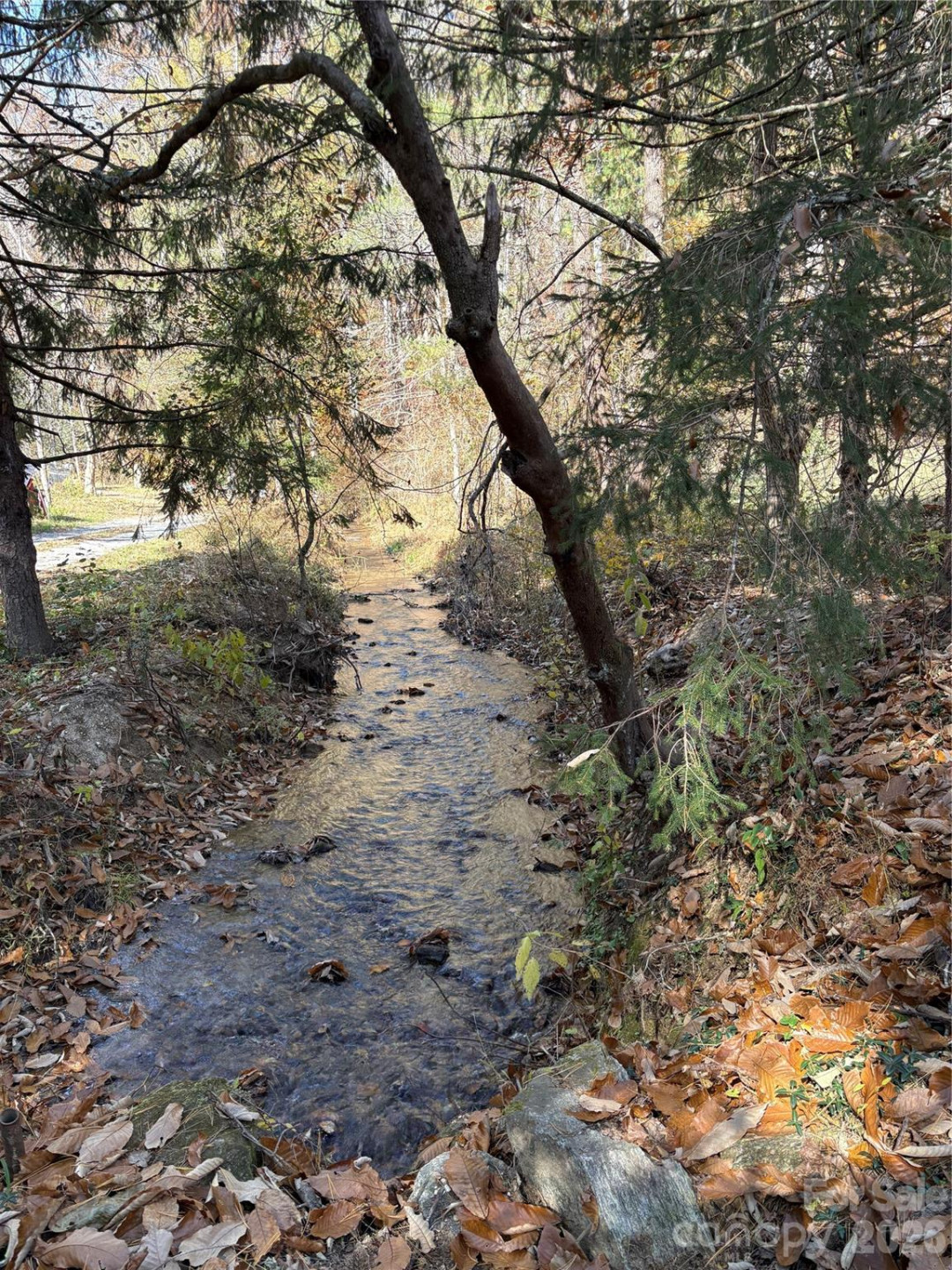 276 Cedar Creek Road - Photo 18