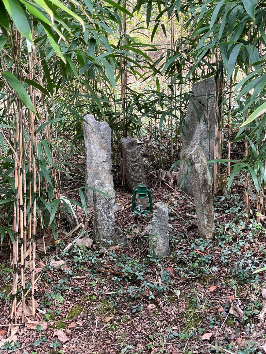 276 Cedar Creek Road - Photo 20