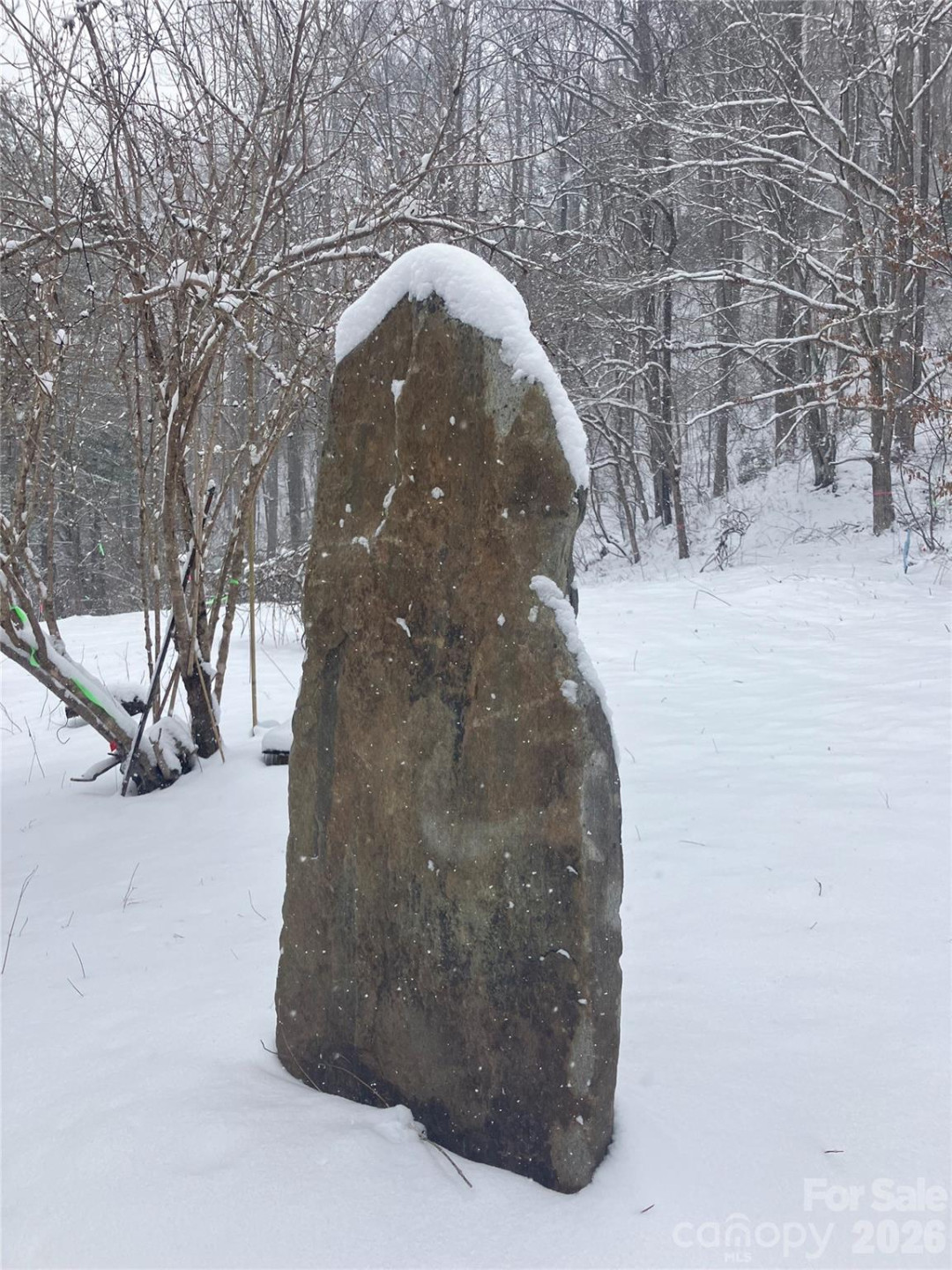 276 Cedar Creek Road - Photo 22