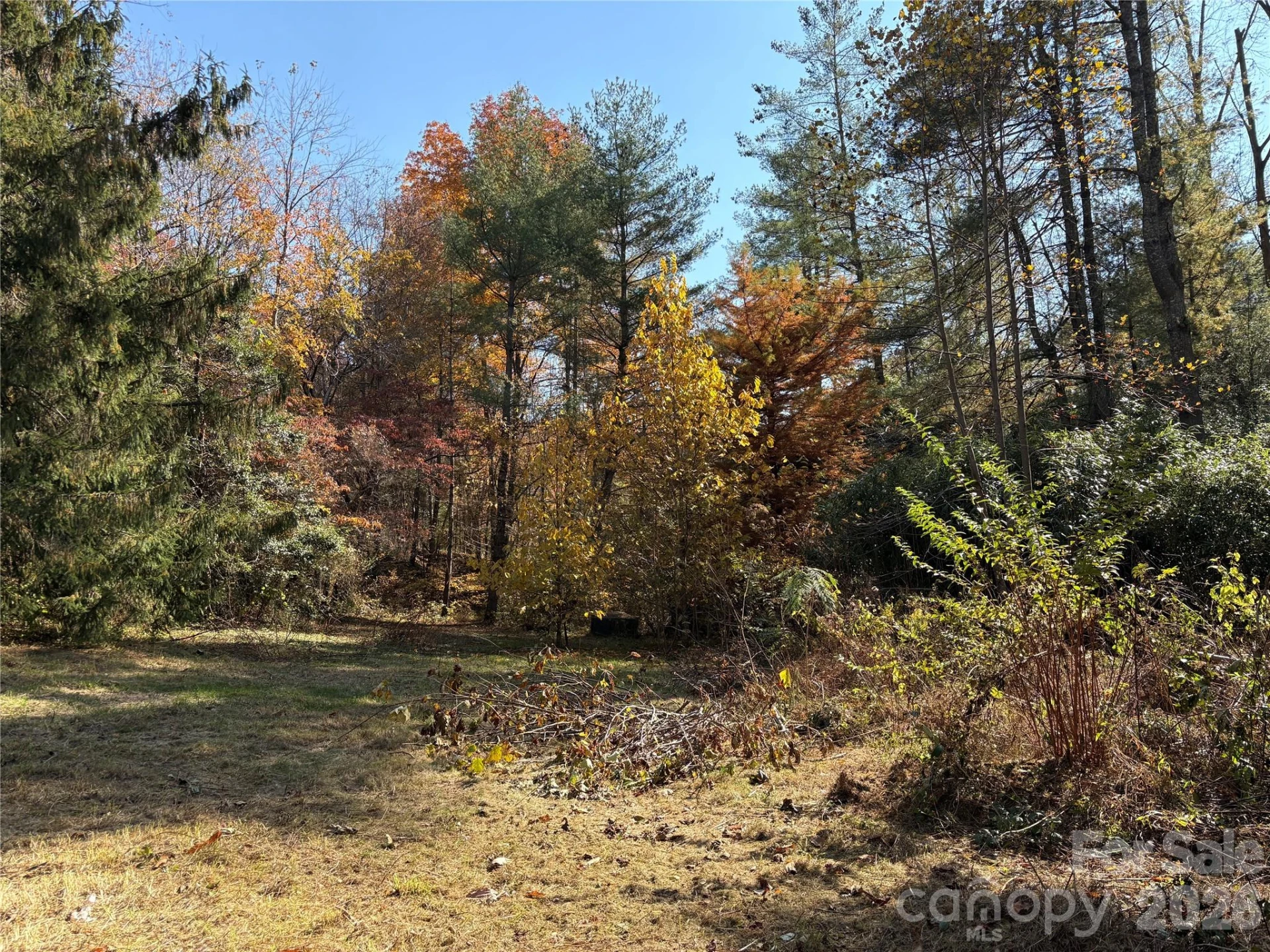 276 Cedar Creek Road - Photo 5