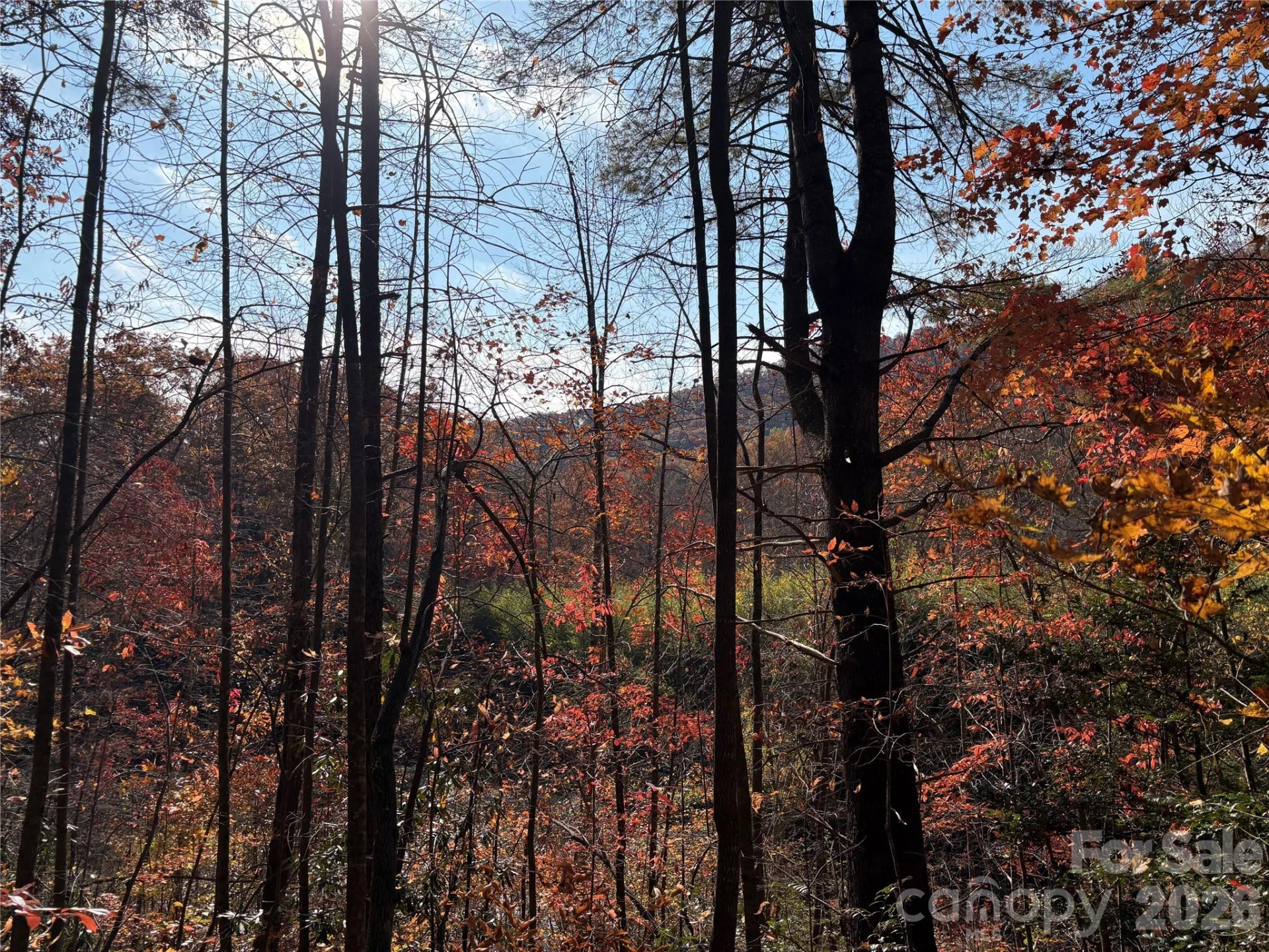 276 Cedar Creek Road - Photo 8