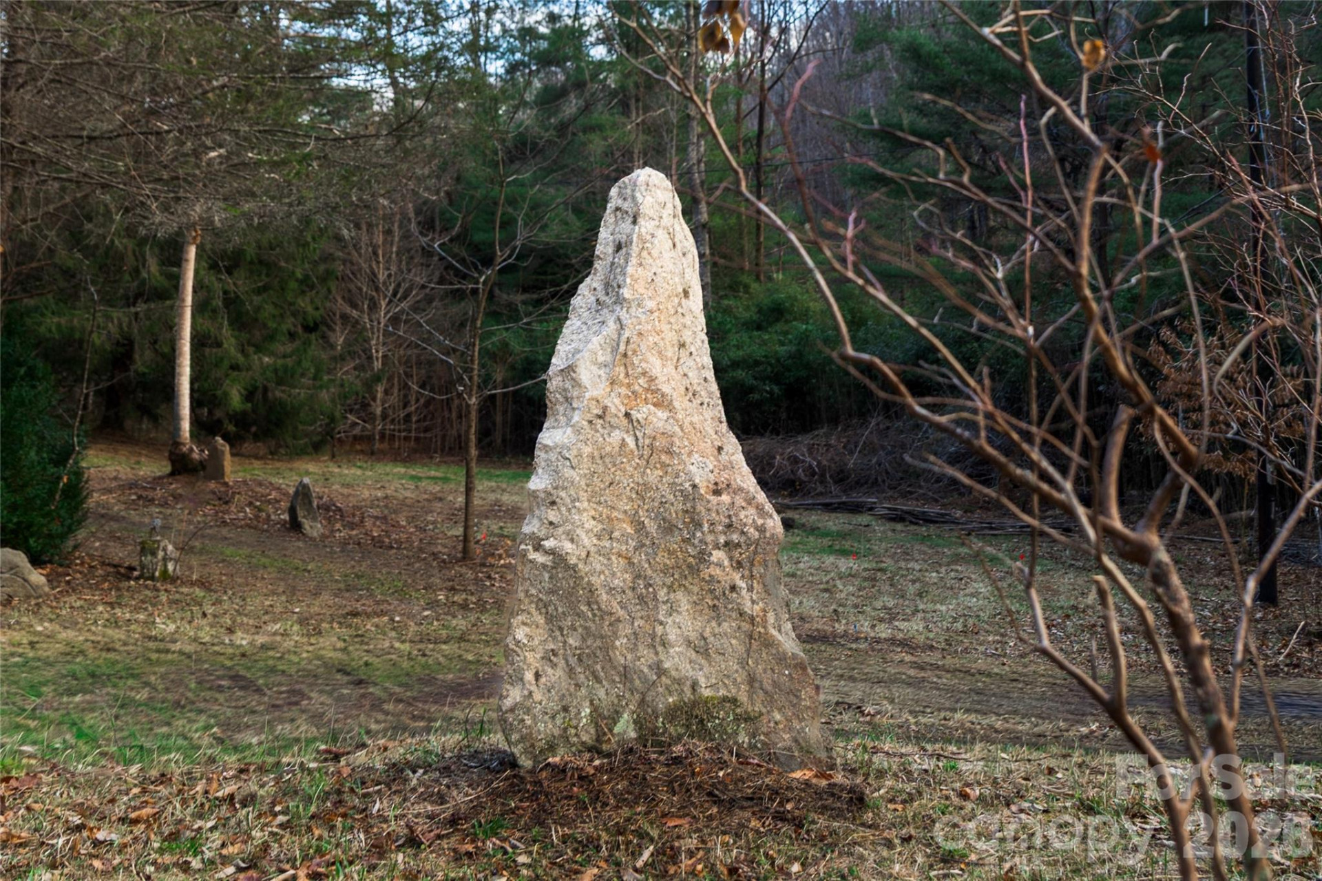 276 Cedar Creek Road - Photo 8