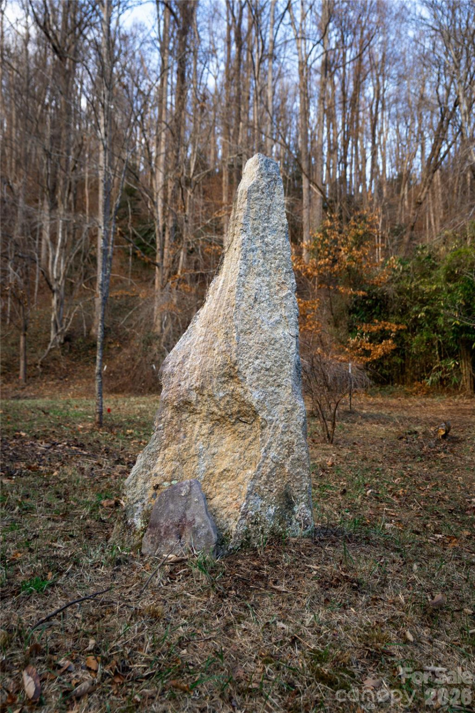 276 Cedar Creek Road - Photo 9