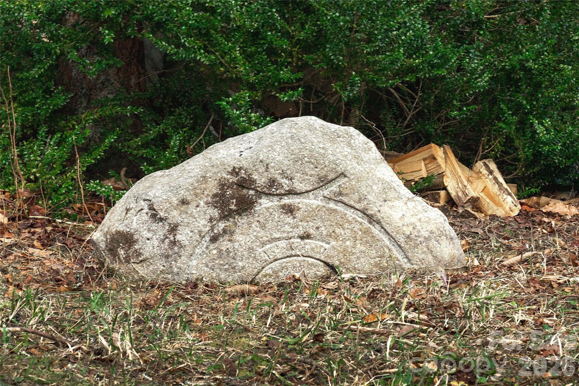 276 Cedar Creek Road - Photo 10