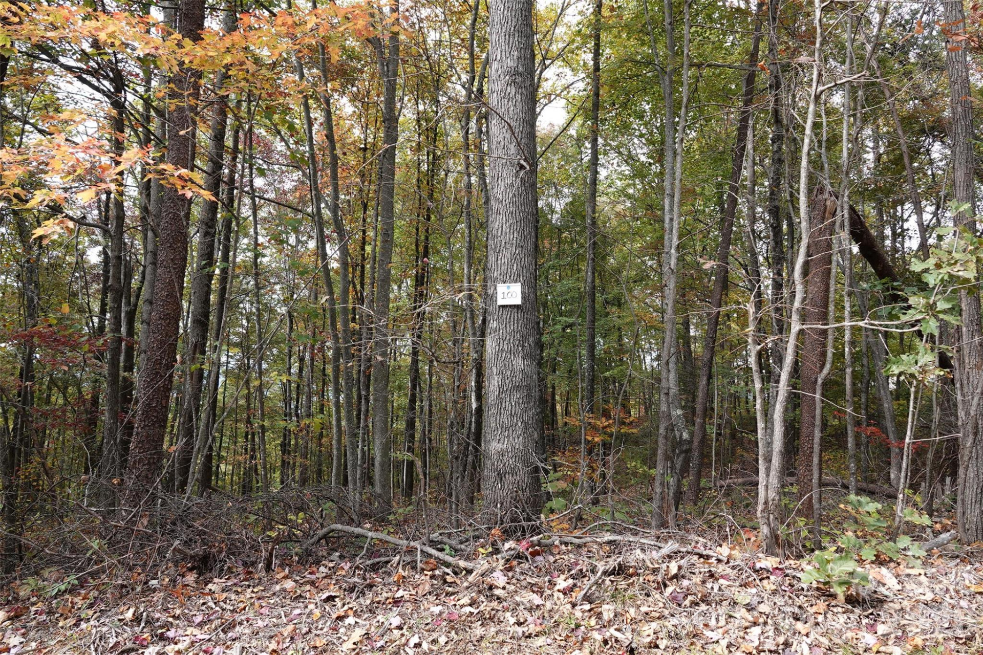 100 Sunset Drive - Photo 12