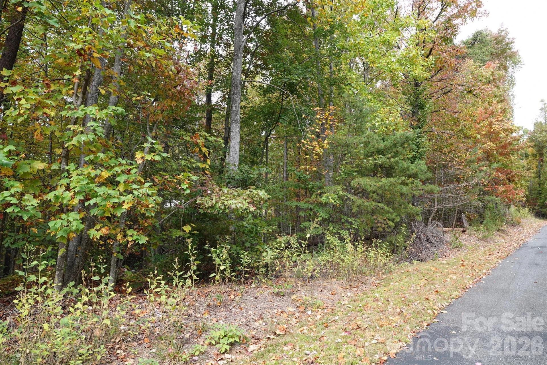 100 Sunset Drive - Photo 4