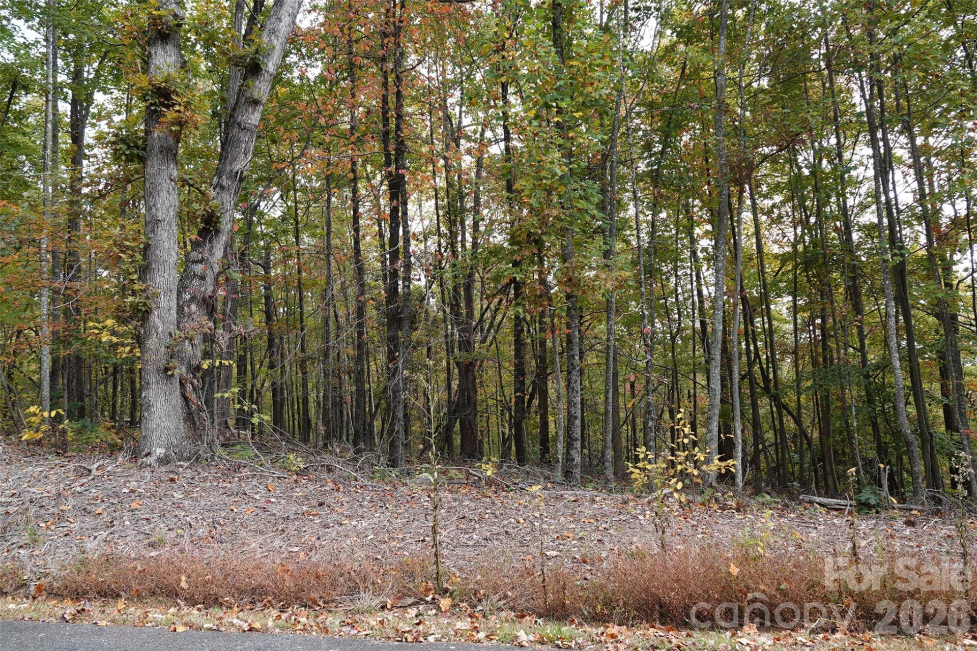 100 Sunset Drive - Photo 7