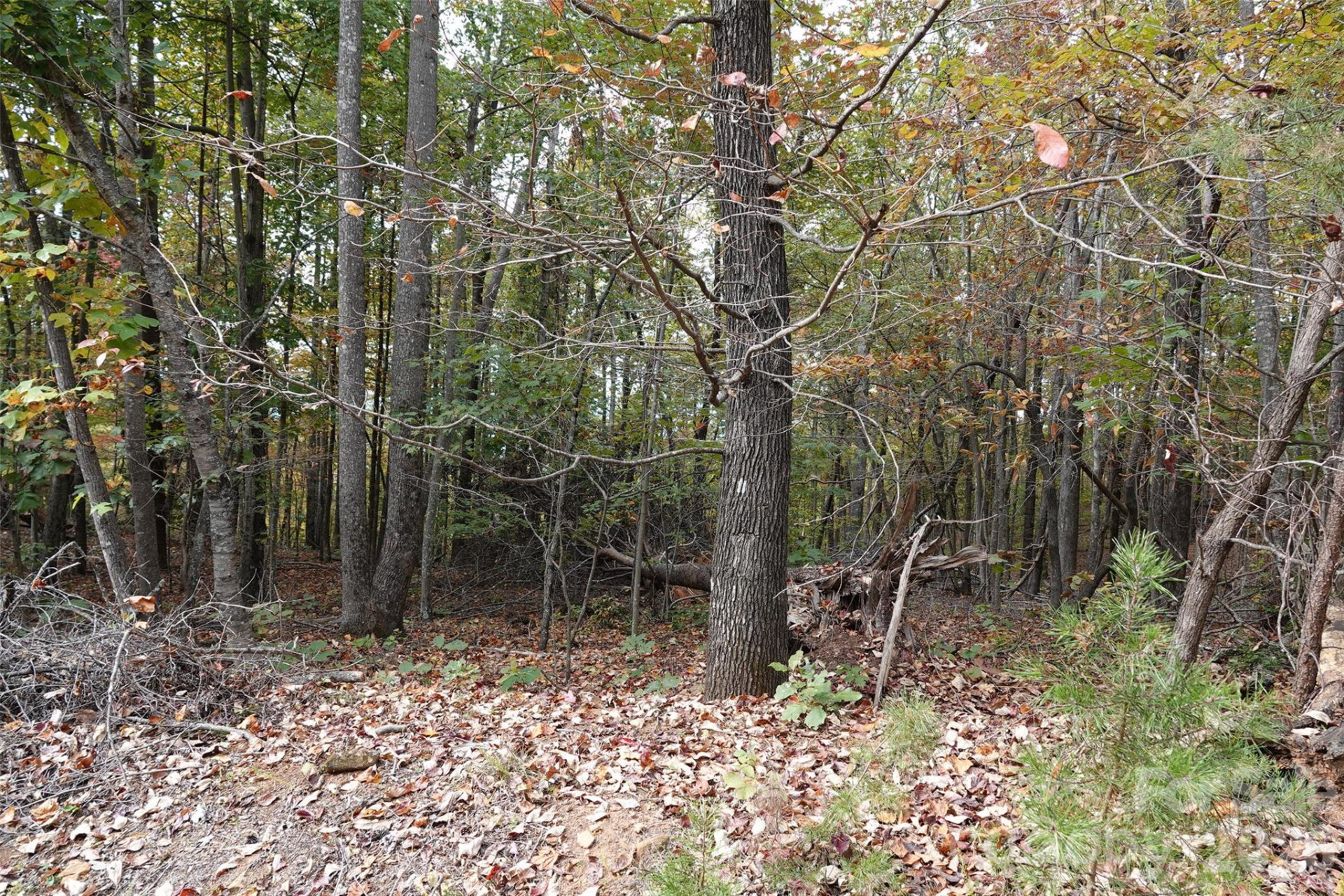 100 Sunset Drive - Photo 8